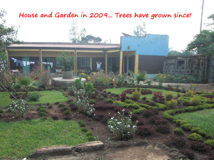 Garden 2009
